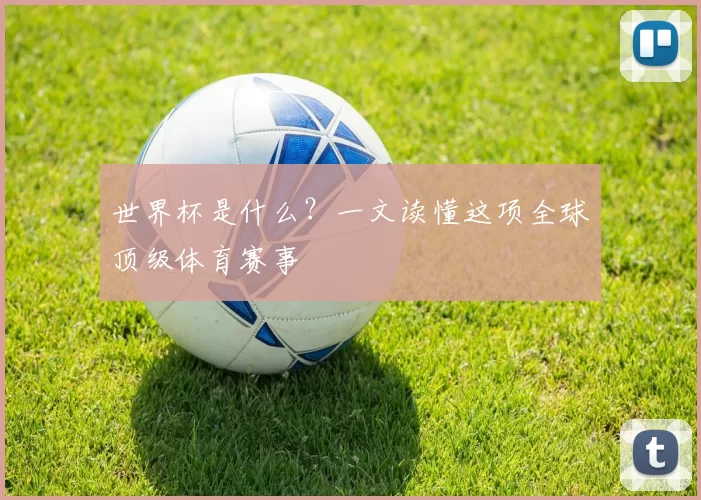 世界杯是什么?一文读懂这项全球顶级体育赛事