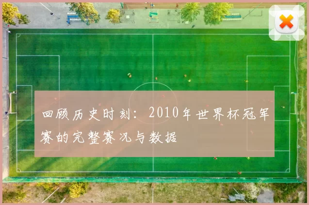 回顾历史时刻：2010年世界杯冠军赛的完整赛况与数据