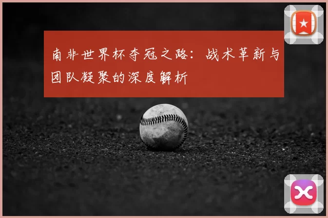 南非世界杯夺冠之路:战术革新与团队凝聚的深度解析