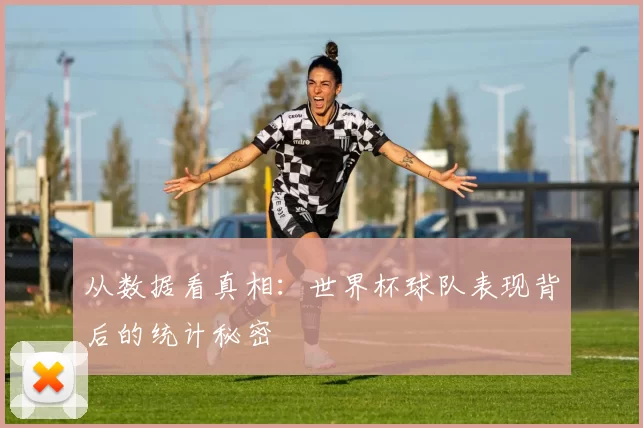 从数据看真相:世界杯球队表现背后的统计秘密