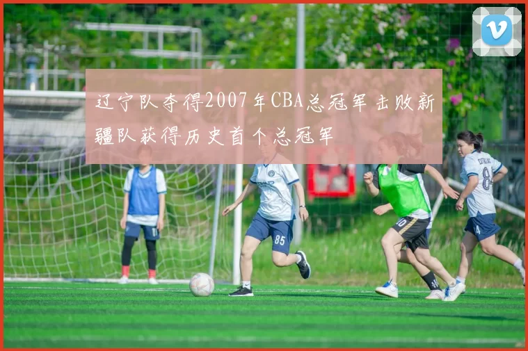 辽宁队夺得2007年CBA总冠军击败新疆队获得历史首个总冠军