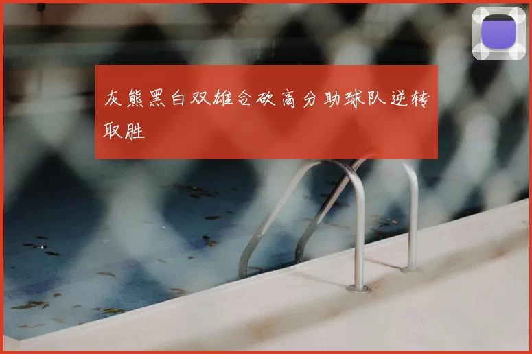 灰熊黑白双雄合砍高分助球队逆转取胜