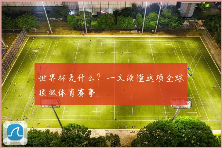 世界杯是什么?一文读懂这项全球顶级体育赛事