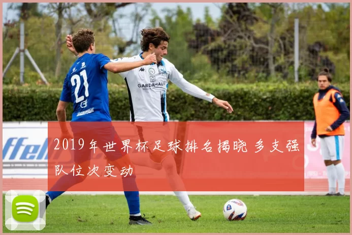 2019年世界杯足球排名揭晓 多支强队位次变动