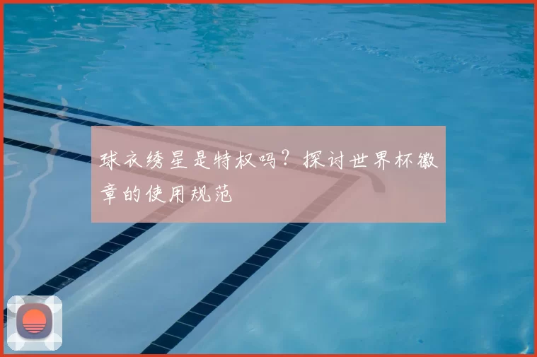 球衣绣星是特权吗?探讨世界杯徽章的使用规范