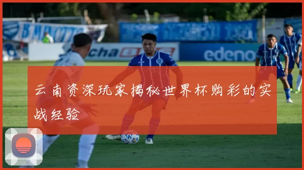 云南资深玩家揭秘世界杯购彩的实战经验